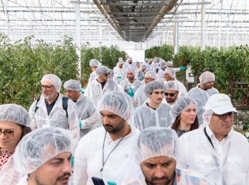Dalla Sicilia un laboratorio di innovazione per l’orticoltura mediterranea