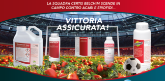 Pomodoro da industria, la strategia Certis Belchim contro acari ed eriofidi acaricidi pomodoro da industria
