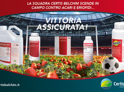 Pomodoro da industria, la strategia Certis Belchim contro acari ed eriofidi acaricidi pomodoro da industria