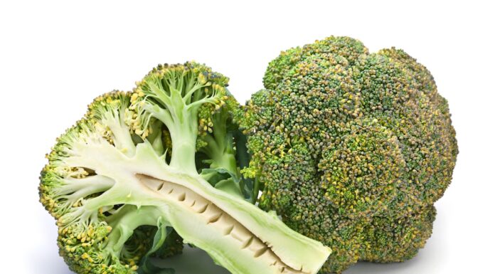 Cuore cavo delle brassicacee, come prevenirlo in campo