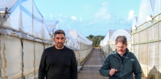 Assicurazioni, Hortisecur rafforza la gestione diretta in Italia
