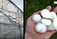 Serre e rischio meteorologico, il partner assicurativo giusto fa la differenza