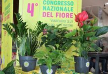 Congresso nazionale del fiore, tra export record e nuove opportunità per il settore congresso nazionale fiore