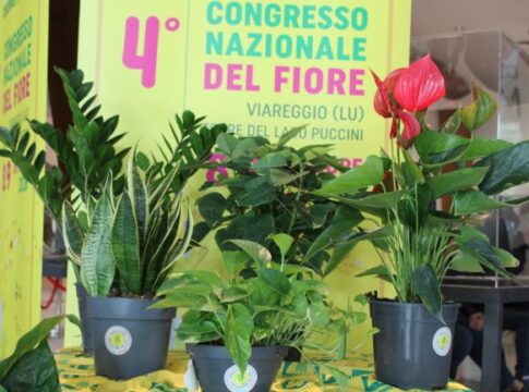 Congresso nazionale del fiore, tra export record e nuove opportunità per il settore congresso nazionale fiore
