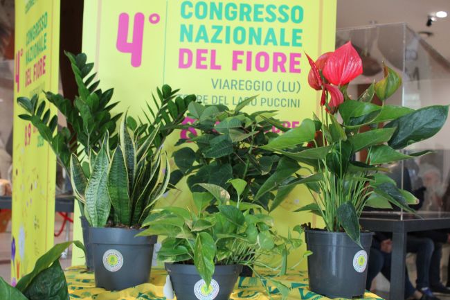 Apertura congresso nazionale fiore