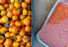 Varietà locali di ortaggi, le opportunità della normativa sementiera varietà amatoriali di ortaggi