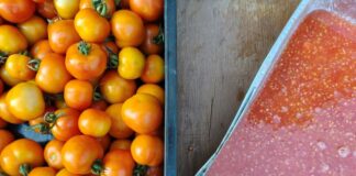 varietà amatoriali di ortaggi