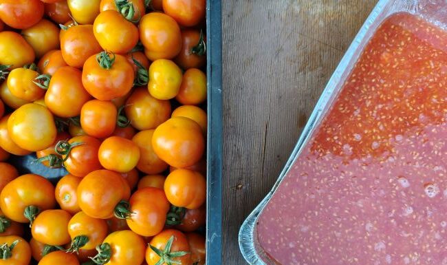 varietà amatoriali di ortaggi