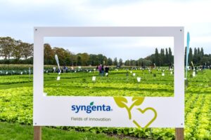 syngenta