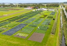 Fields of innovation 2026