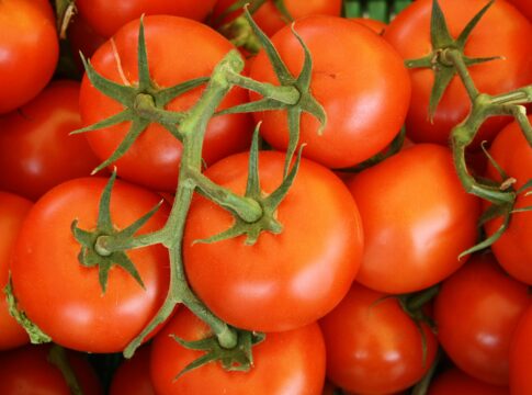 pomodori