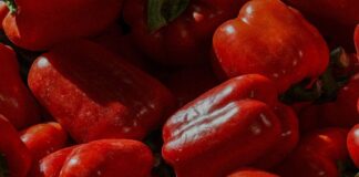 Peperoni, prezzi sopra la media. Crescono quelli spagnoli e olandesi