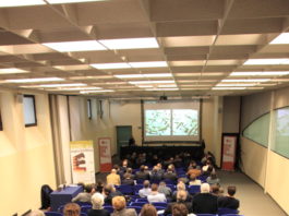 1° Vertice della finestra in legno: basta inseguire gli altri!