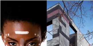 VMZINC, “7 miliardi di facciate…” e le infinite possibilità espressive