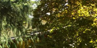 Assemblea gruppo Glass6, alla presidenza eletto Sergio De Petri