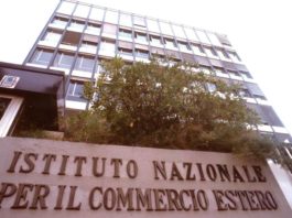 Junior manager esperto di internazionalizzazione in stage