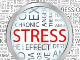 Stress, nei maschi mina il rapporto con gli altri nelle femmine lo favorisce