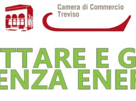 Progettare l’efficienza energetica della propria azienda. Convegno a Treviso il 28 maggio