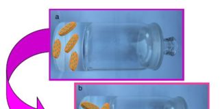 Con il tempo il vetro si trasforma. Mostrata la transizione spontanea tra due vetri