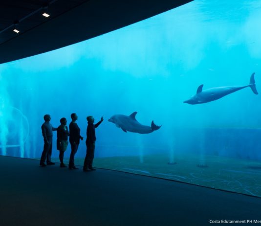 Acquario Genova, nuove lunghe superfici strasparenti per ammirare i cetacei