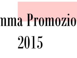 ACIMALL definisce programma promozionale 2015. Dario Corbetta: “interessanti novità”