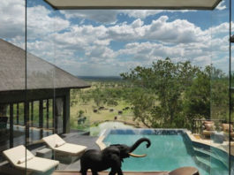 FederlegnoArredo, al via la nuova rete di imprese in Africa Sub Sahariana