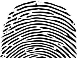 Hibrido portoncino antieffrazione con nuovo sistema ad impronta digitale