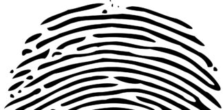 Hibrido portoncino antieffrazione con nuovo sistema ad impronta digitale