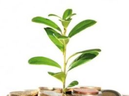 Progetti investimenti Italia, si intravedono “germogli” della possibile ripresa