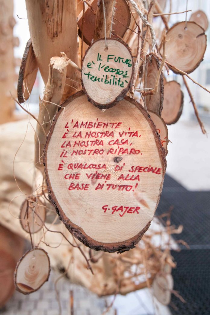 Klimhouse albero