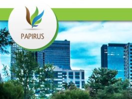 Progetto PAPIRUS per l’edilizia e l’innovazione. Consorzio annuncia 4 grandi gare internazionali