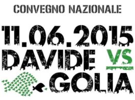 Distribuzione in edilizia e multicanalità. “Davide contro Golia. Chi è Davide? Chi è Golia?”