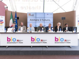 SAIE + SIE per progettare, costruire ed abitare ecosostenibile. Fatto il punto ad EXPO 2015