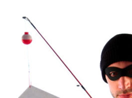 Attenzione alle email “Verifica Tributaria”. Agenzia delle Entrate dirama avviso