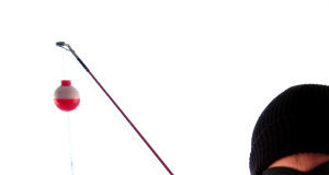 Attenzione alle email “Verifica Tributaria”. Agenzia delle Entrate dirama avviso