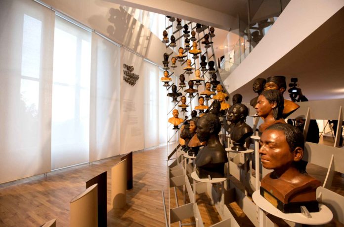 Musee-de-l-Homme