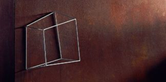 “ThankYouShow”, mostra fotografica artistica dedicata a dieci protagonisti del colore