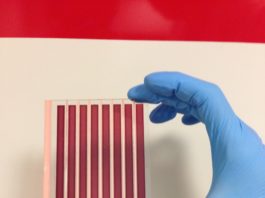 Possibile finestre attive con vetrature al grafene che producono energia