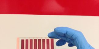 Possibile finestre attive con vetrature al grafene che producono energia