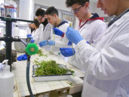 La scuola hub di innovazioni anche per l’edilizia. A confermarlo “InvFactor-anche tu genio!”