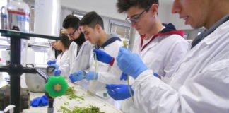 La scuola hub di innovazioni anche per l’edilizia. A confermarlo “InvFactor-anche tu genio!”