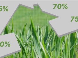 Modalità cessione Ecobonus e Sismabonus. Agenzia delle Entrate diffonde chiarimenti