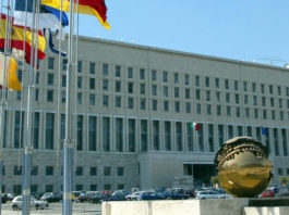 La Farnesina a sostegno della meccanica della Federazione Anima. Siglata intesa