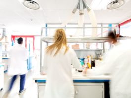 Serramenti in legno. Nuova NGN Titan , serie (garantita) di cicli vernicianti protettivi