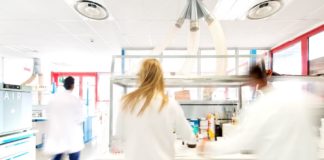 Serramenti in legno. Nuova NGN Titan , serie (garantita) di cicli vernicianti protettivi