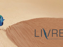 Livrea: le nuove finestre in legno con una nuova solida “pelle”, elegante e antigraffio