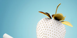 Guarnizione di battuta Q-LON Overlap: per la prima volta bianca