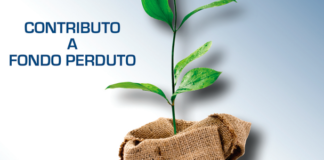 Contributo a fondo perduto. Importanti chiarimenti AdE