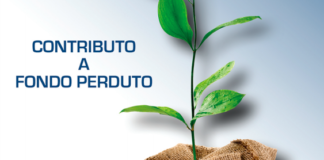 Contributi a fondo perduto. Possibile inviare le domande