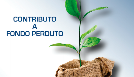 Contributo a fondo perduto